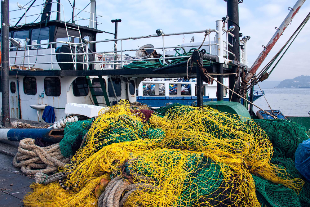 Аукцион на закрепление квоты вылова водных биоресурсов на ЭТП «Фабрикант»